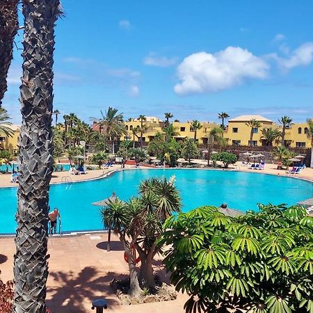 Tamarindo 27 Pool Front Next To The Dunes, Free Wifi Corralejo Extérieur photo